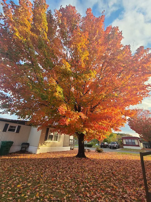 Crestmore Pointe Mobile Home Park 5