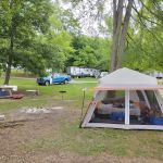 Greenlee of FALL CREEK