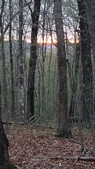 Awakening Adventures llc 4