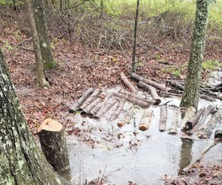 Awakening Adventures llc