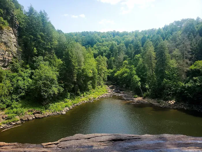 Fall Creek Falls Family Campground C 5
