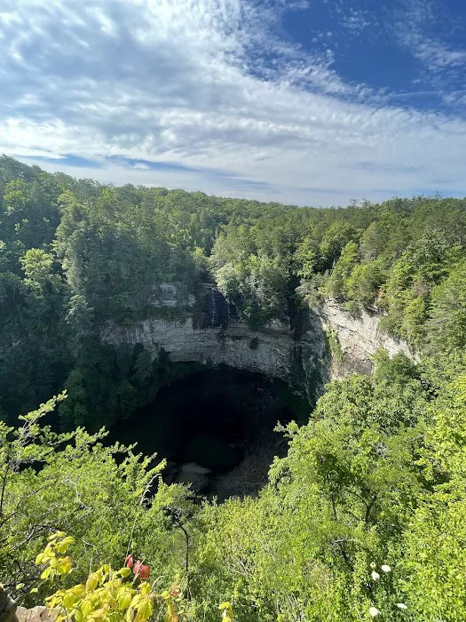 Fall Creek Falls Family Campground C 3