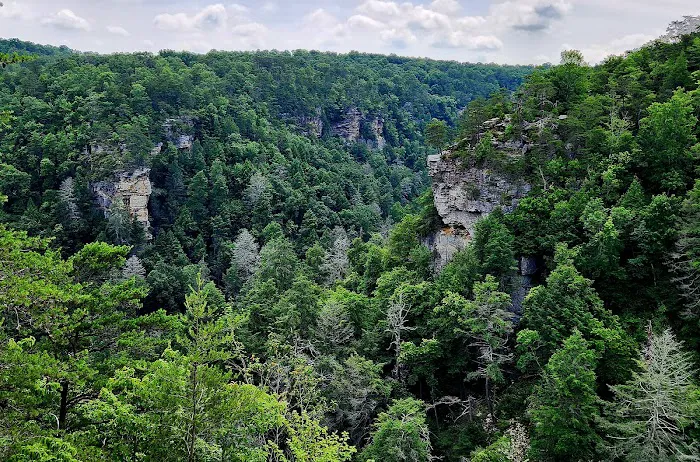 Fall Creek Falls Family Campground C 6