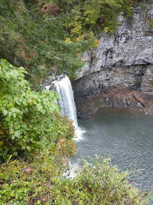 Fall Creek Falls - Family Campground A & E 1