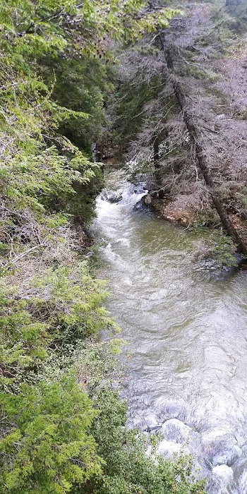 Fall Creek Falls - Family Campground A & E 9