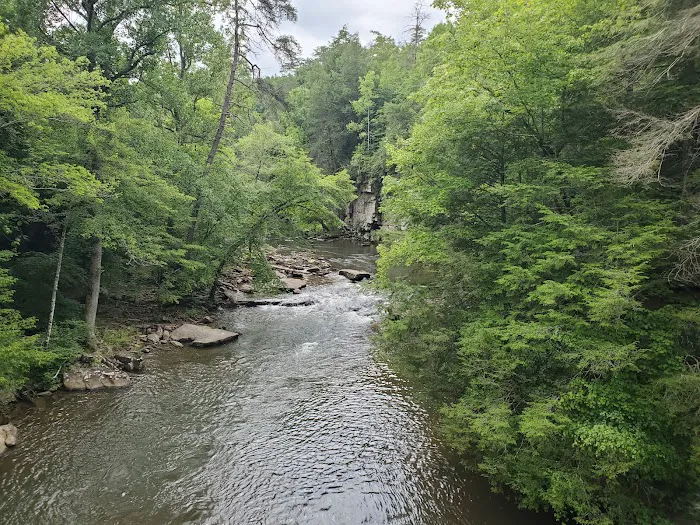 Fall Creek Falls - Family Campground A & E 7