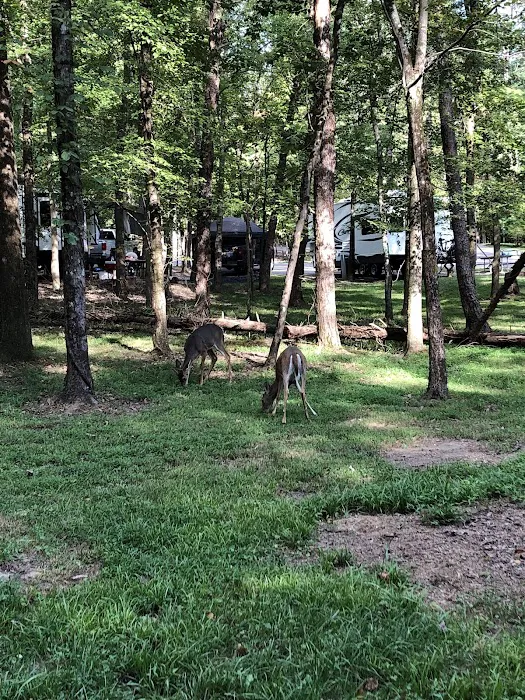Cane Creek Camp 2