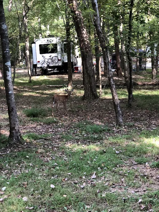 Cane Creek Camp 1