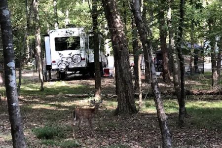 Cane Creek Camp