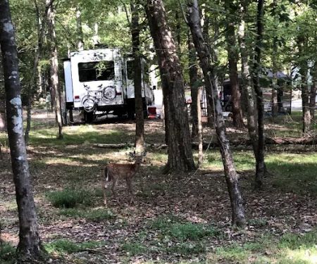 Cane Creek Camp