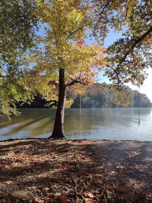 Rhea Springs Campground 9