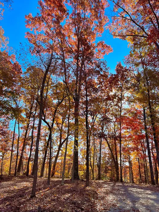 Fall Creek Falls Stables Campground 3