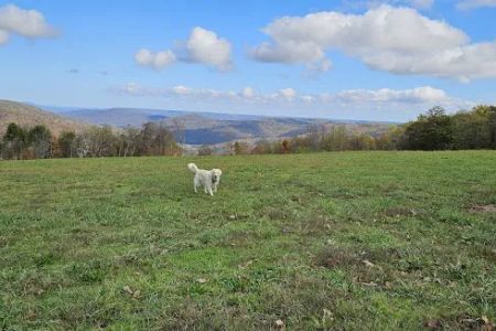 Grand View Cabins and RV Park