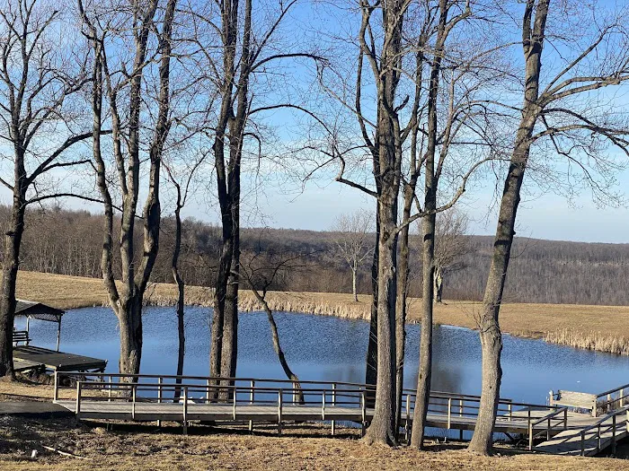 Grand View Cabins and RV Park 9