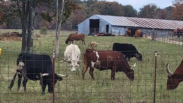 Goldfinch ranch 2