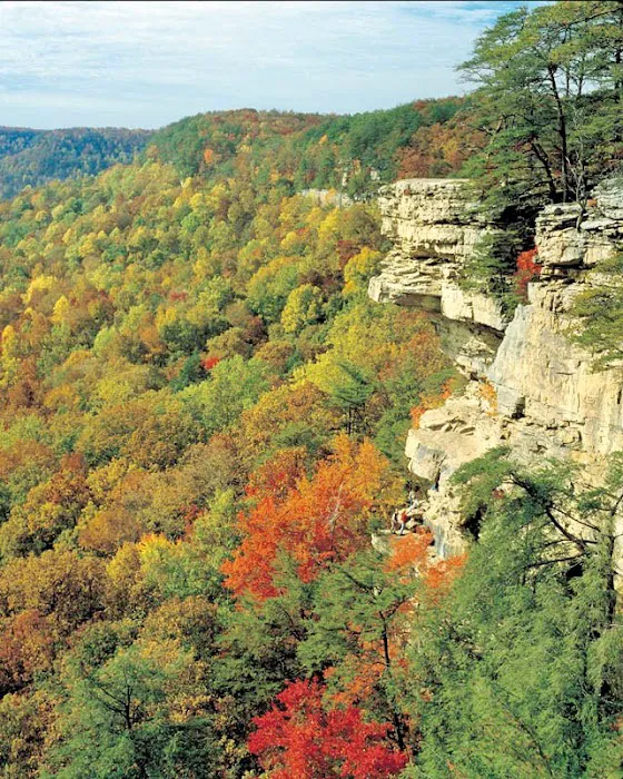 Greeter Falls Campground 7