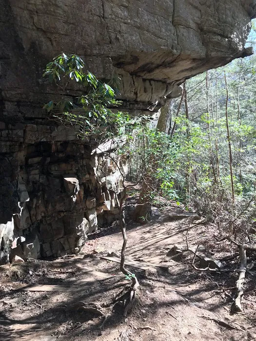 Greeter Falls Campground 6