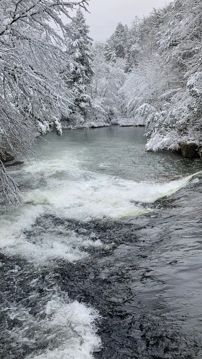Greeter Falls Campground 9