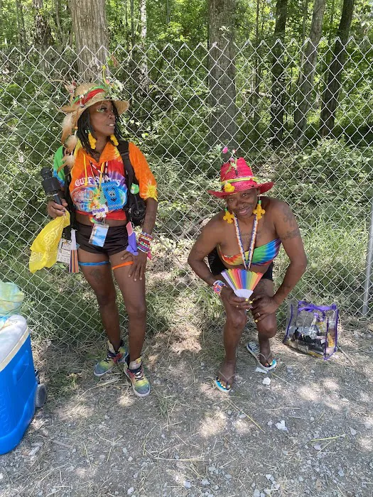 Bonaroo Camp 3