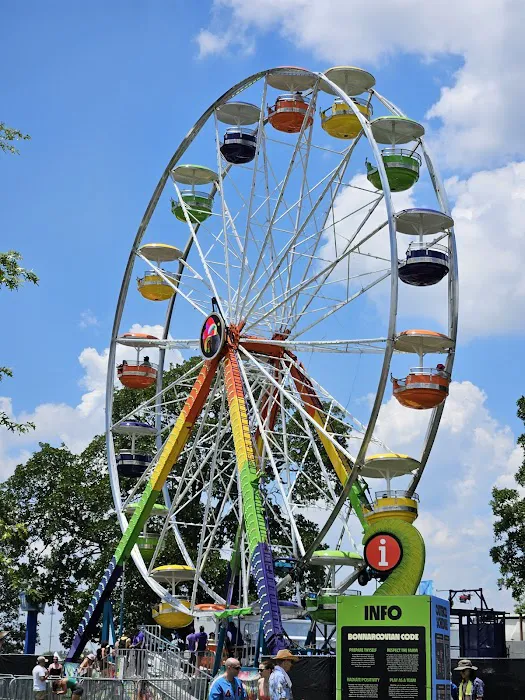 Bonaroo Camp 1