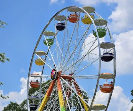 Bonaroo Camp