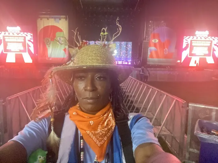 Bonaroo Camp 5