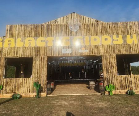 Bonnaroo VIP Camping