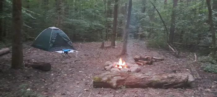 Sawmill Campsite 4