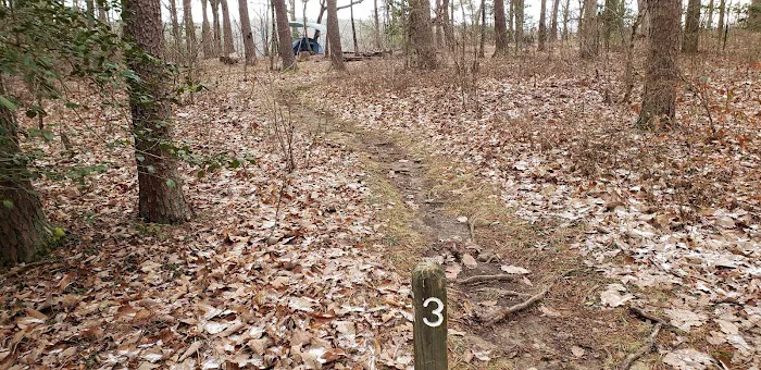 Collins West Campground 3