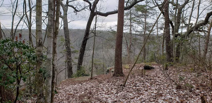 Collins West Campground 1