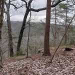 Collins West Campground