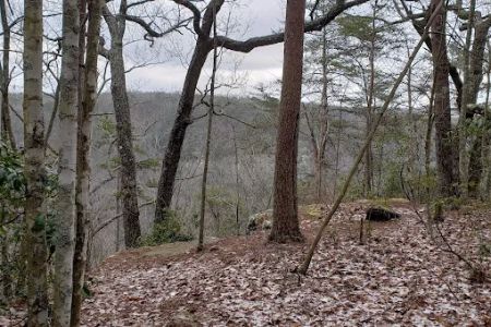 Collins West Campground
