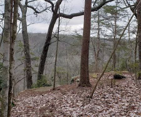 Collins West Campground