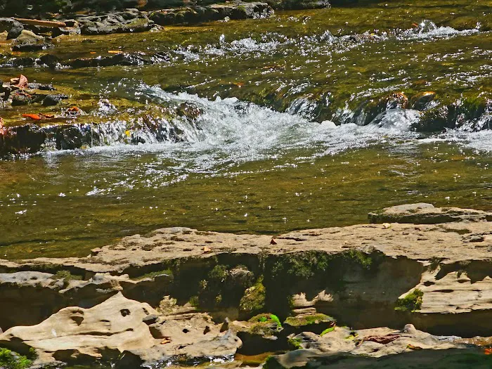 Collins West Campground 4