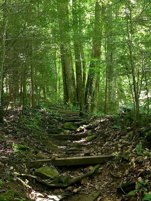 Collins West Campground 5