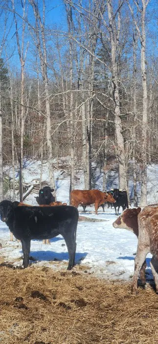 White Oak Ranch TN 1