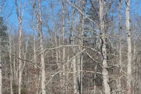 White Oak Ranch TN
