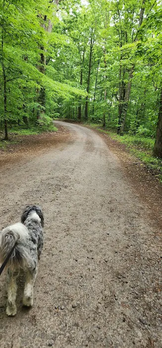 Tennessee Hills Campgrounds Picture 5