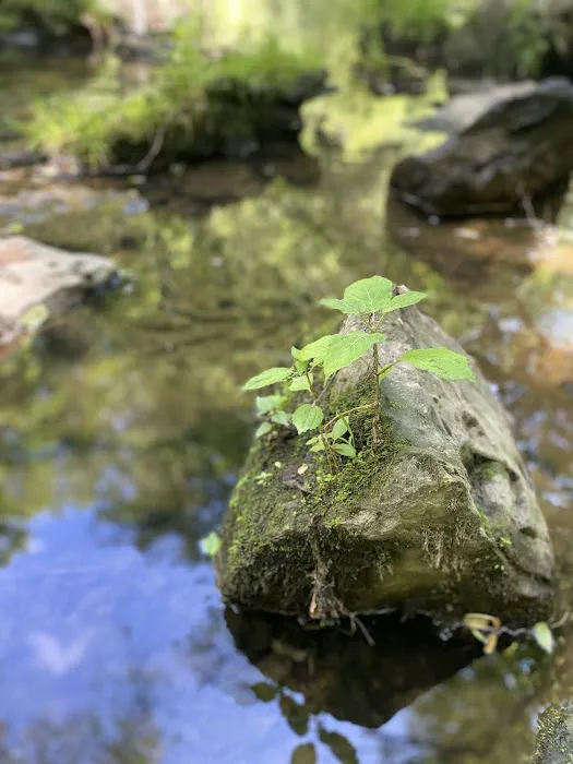 Old Stone Fort State Park Campground 2