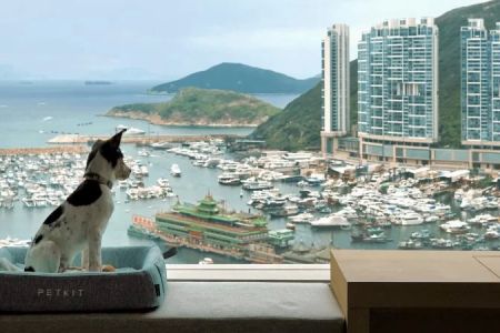 Top Destinations for Luxury Travel with Pets