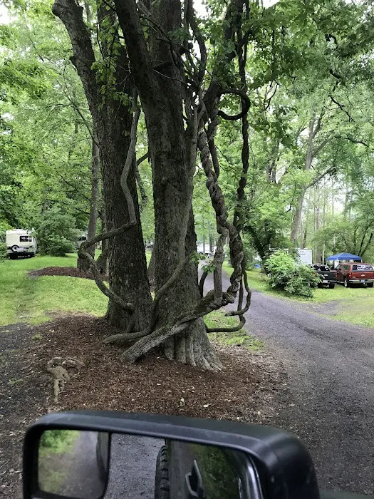 Harshbarger's Campground Picture 8
