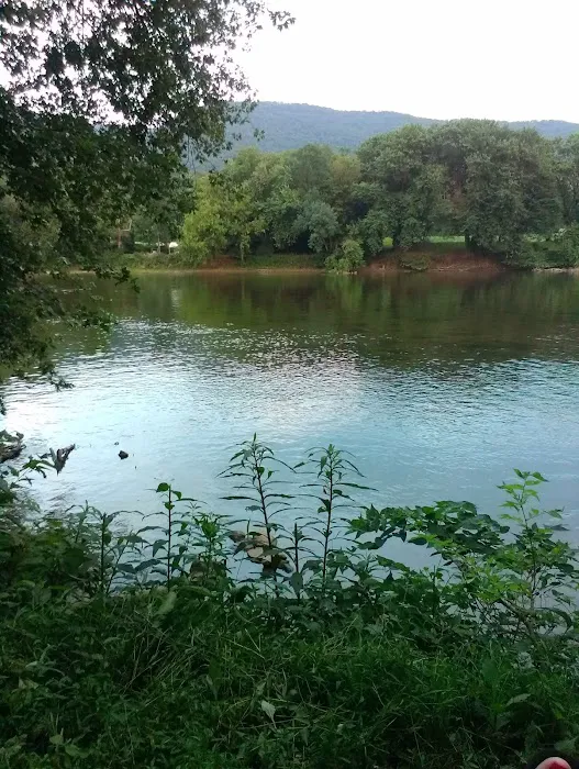 Harshbarger's Campground Picture 4