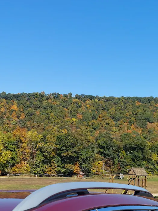 Robinson's Family Campground Picture 4