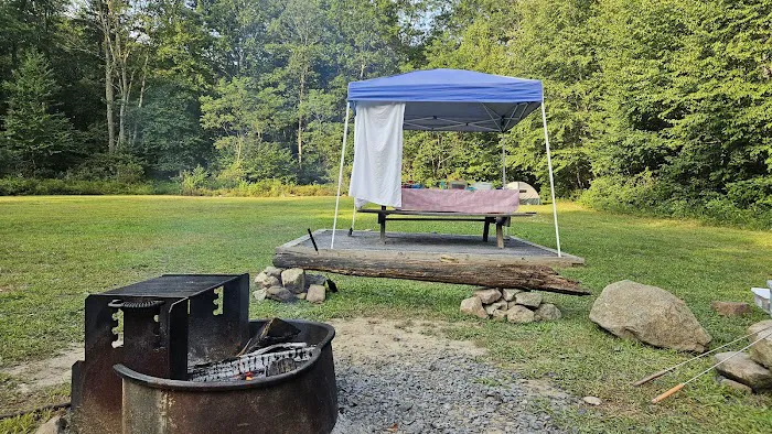 Rothrock State Forest Campsite #3 Picture 3