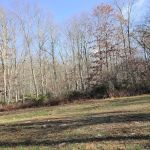 Rothrock State Forest Campsite #3