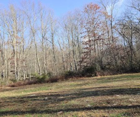Rothrock State Forest Campsite #3