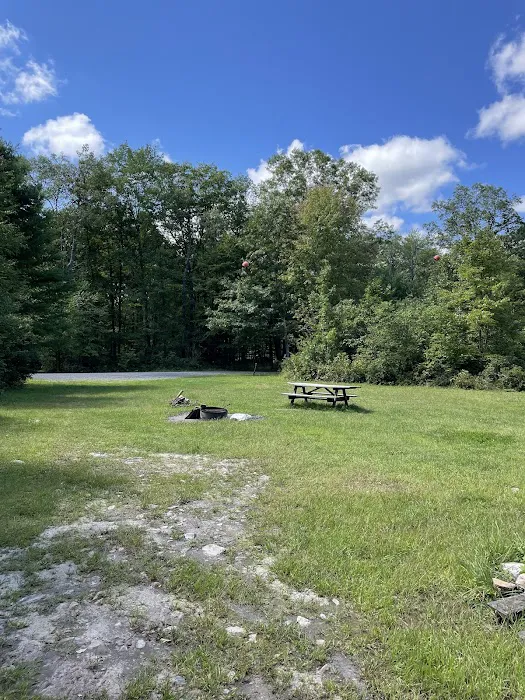Rothrock State Forest Campsite #3 Picture 4