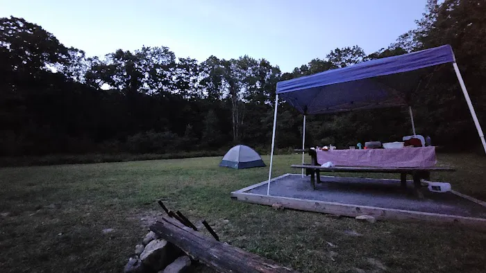 Rothrock State Forest Campsite #3 Picture 8
