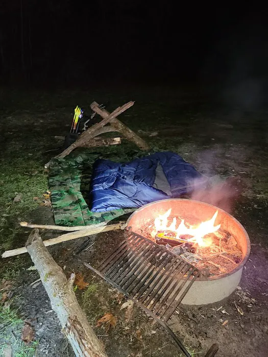 Rothrock State Forest Campsite #3 Picture 9