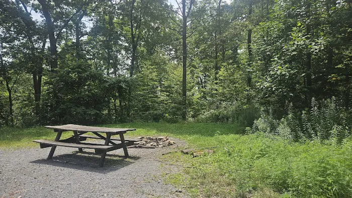 Rothrock State Forest Campsite #4 Picture 1